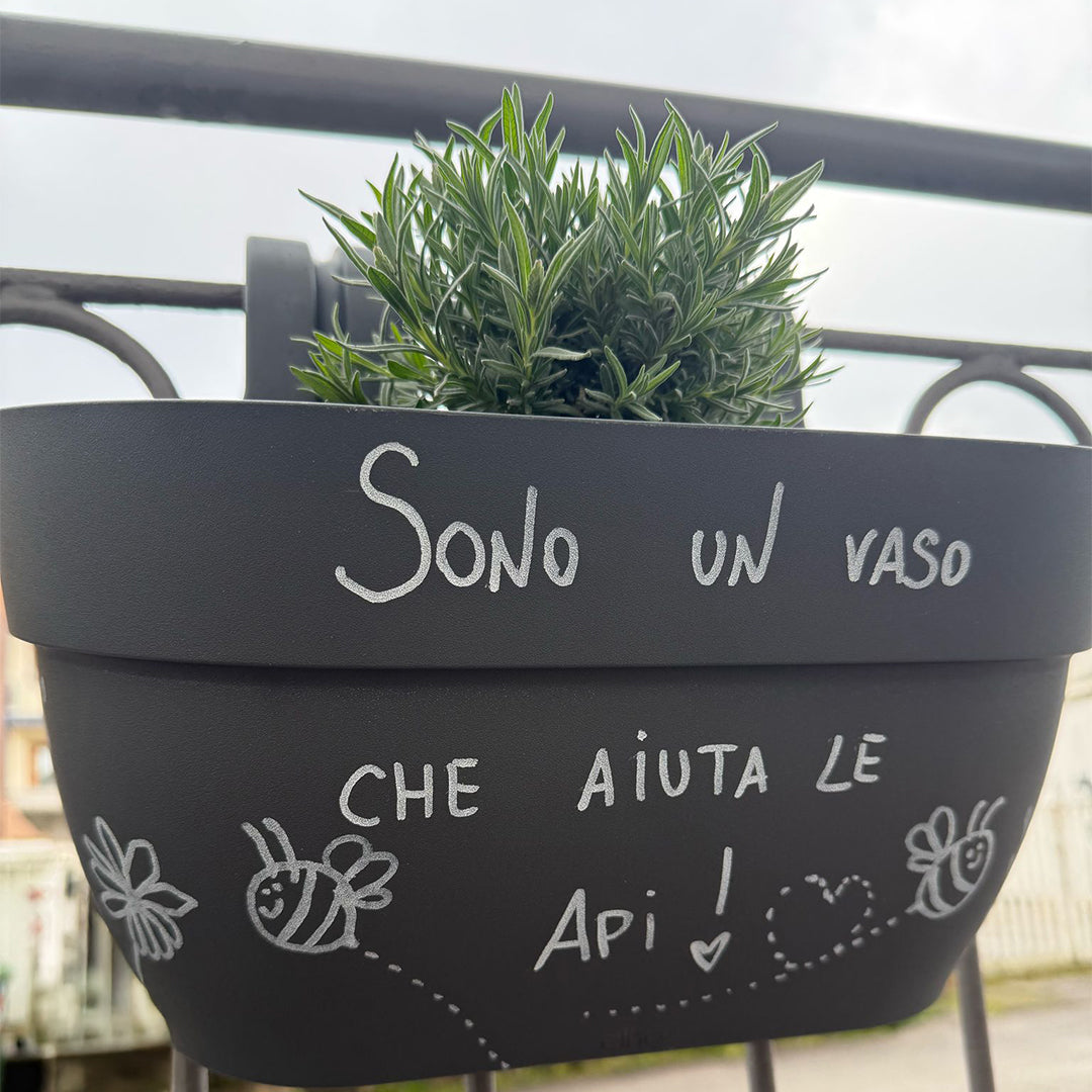 piante e fiori per le api