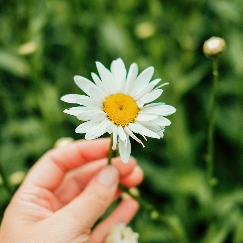 5 Buone Abitudini per essere sostenibili