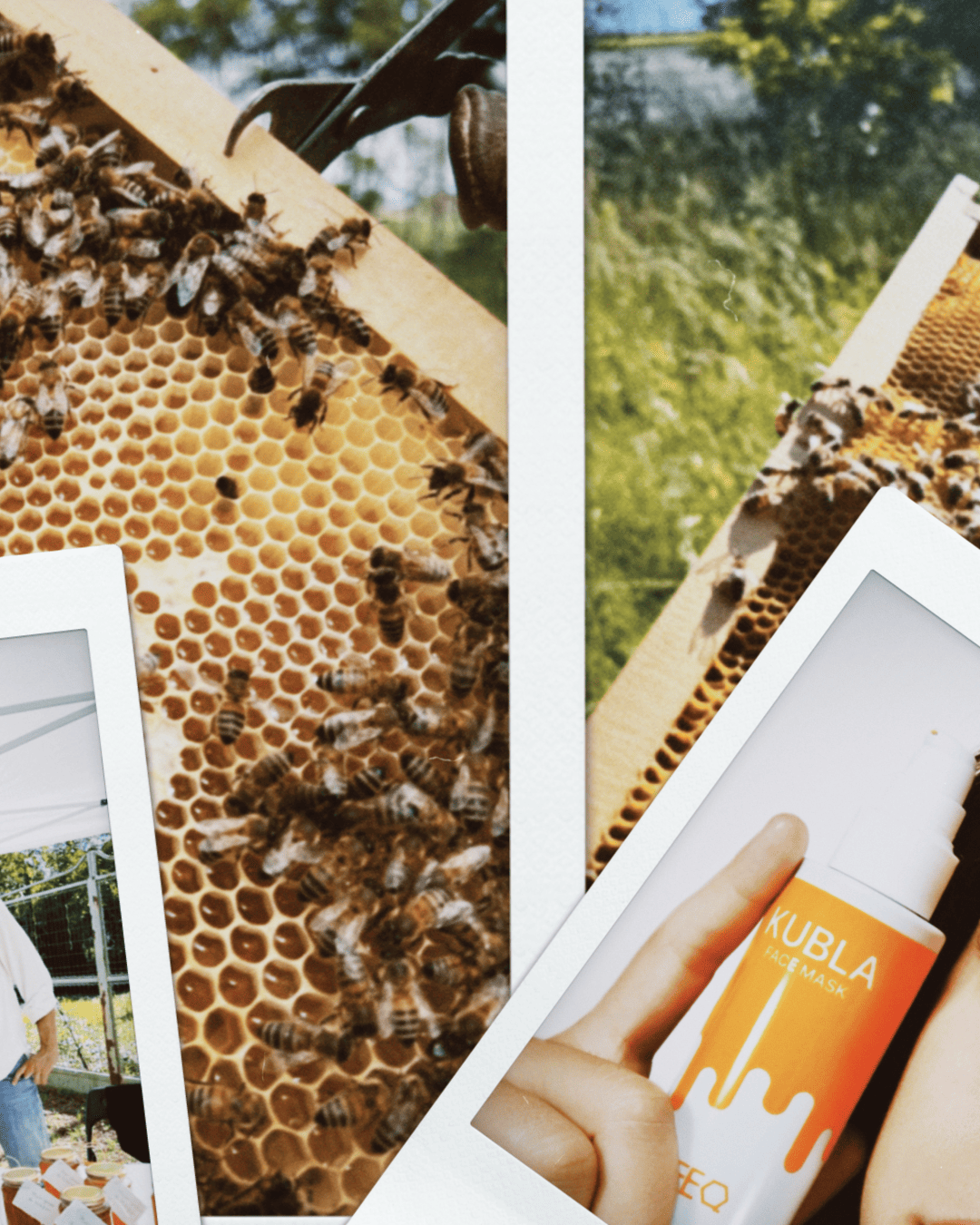 Come Aiutare le Api: 3 Azioni Semplici – BEEQ