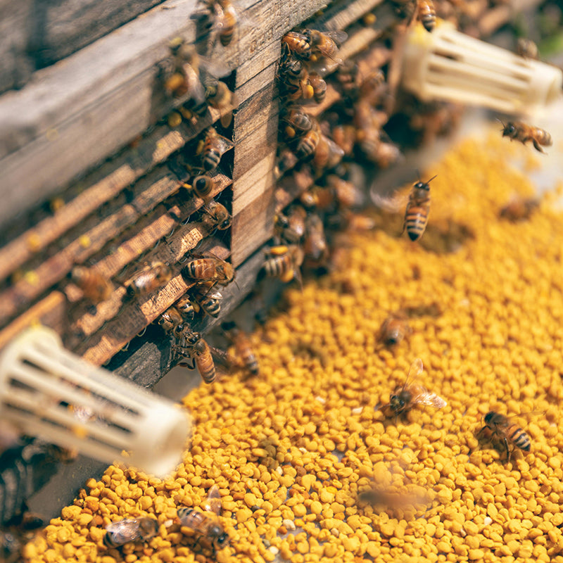 Polline nei cosmetici