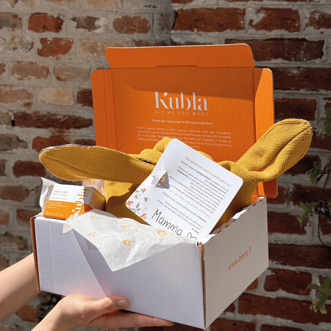 Kit Regalo