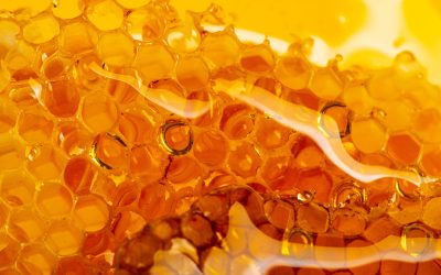 MIELE: Perchè è l’ingrediente di cui la tua pelle ha bisogno 🍯